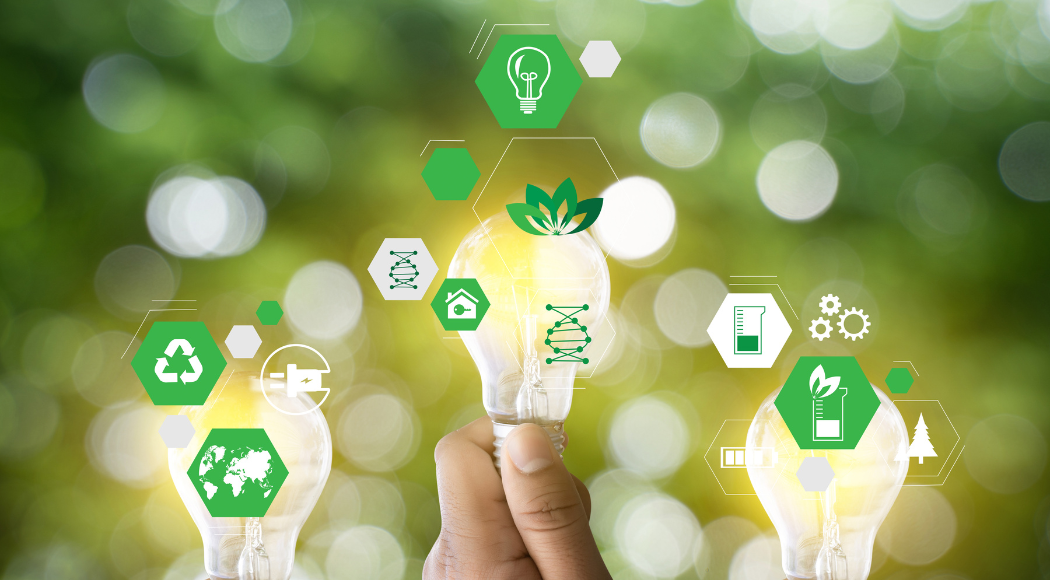 cristina guarda sostenibilità