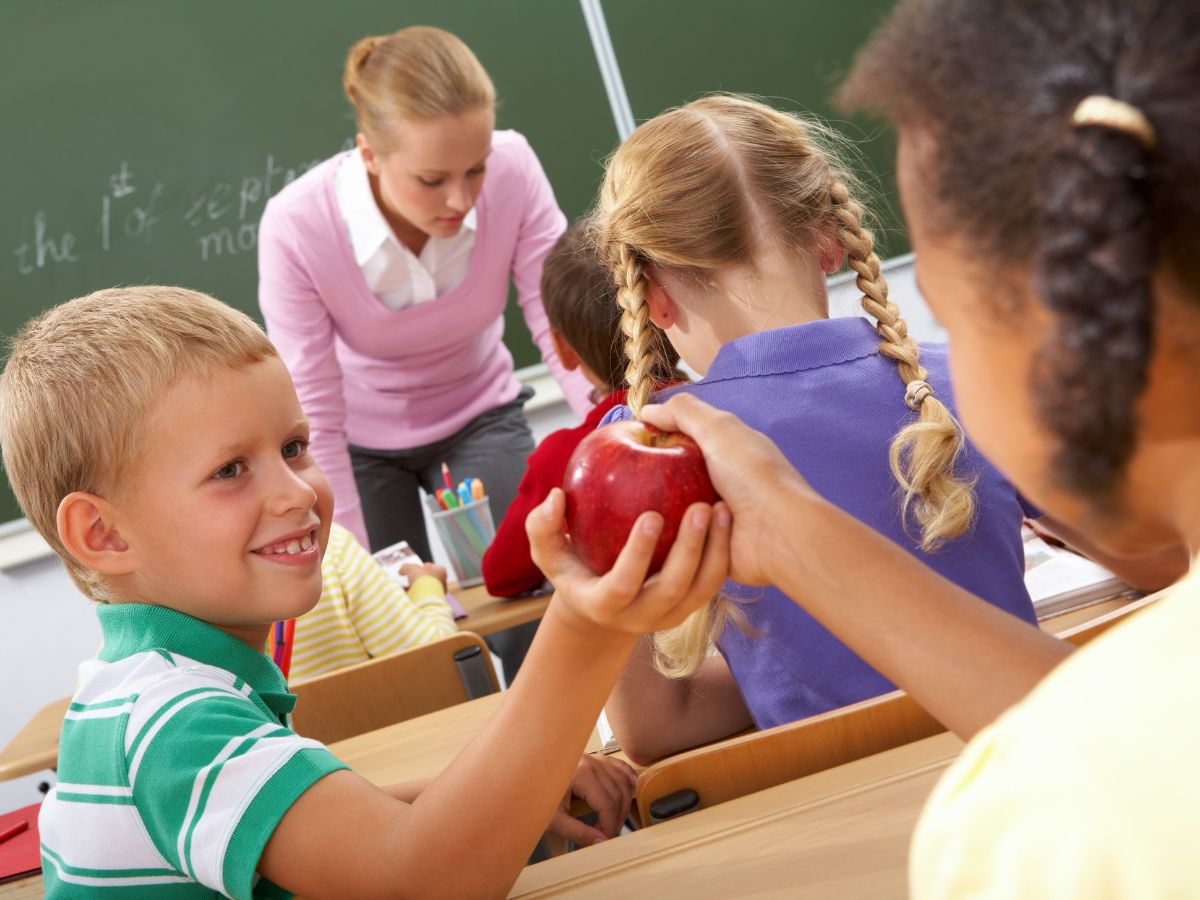 Percorso di crescita e valori: la gentilezza si insegna a scuola