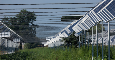 agrivoltaico e biodiversità