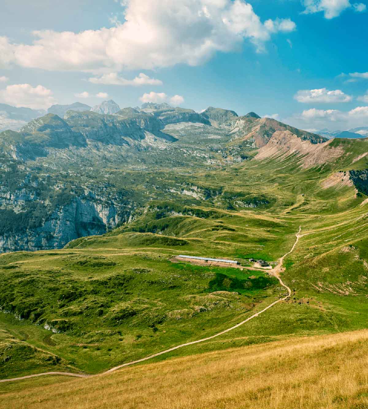 Data center: come raffreddarli preservando l’ambiente