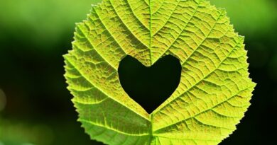 Guidalberto Bormolini