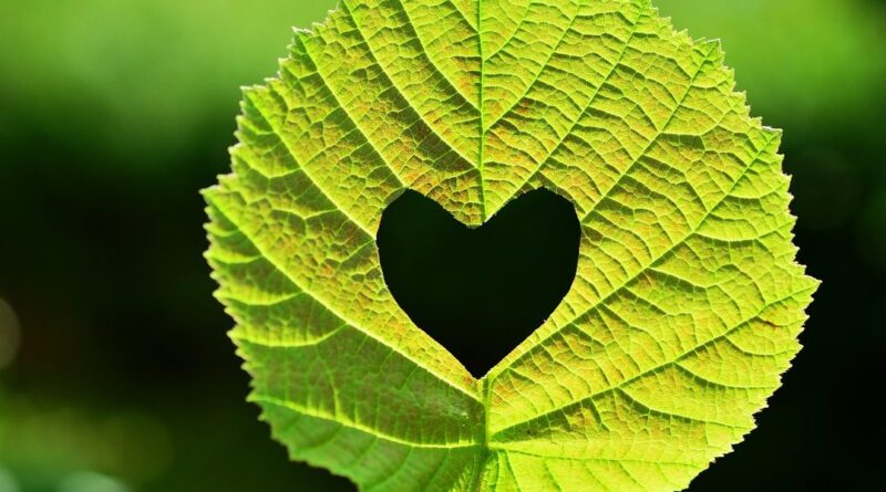 Guidalberto Bormolini