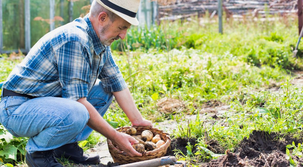 Longevità attiva: l’agricoltura sociale aiuta gli anziani