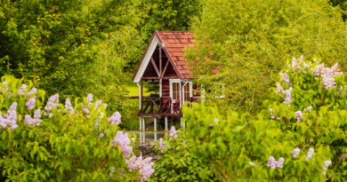 vacanze green